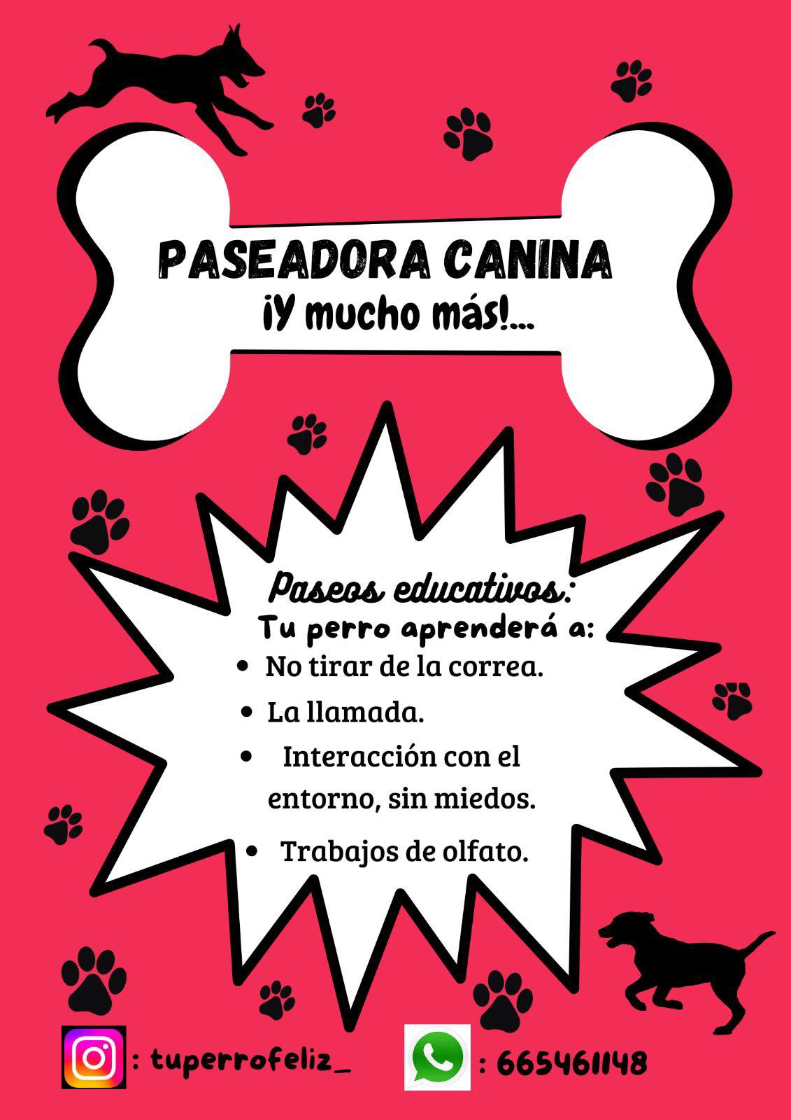 Datos sobre paseadora caninca